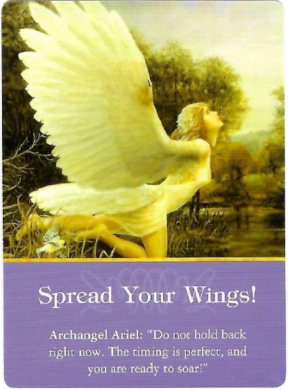 Free Angel Card Reading, Free Angel Card Readings, Angel Card Reading Free, Best Free Angel Card Reading, Best Free Angel Card Reading, Free 3 Card Angel Reading, Free Tarot Card Reading Angels, Angel Card Readings Free, Free Angel Reading Cards, Free Angel Cards Reading, Free Online Angel Card Reading, Angel Messenger Free Angel Card Reading