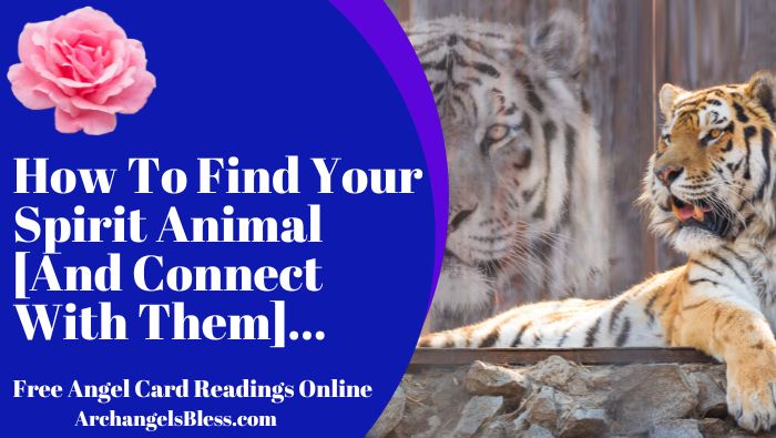 How To Find Your Spirit Animal [And Connect With Them], How To Connect With Your Spirit Animal, What Is My Spirit Animal, How Do I Find My Spirit Animal, What Is My Spirit Animal By Birthday, How To Find Your Spirit Animal Native American, How Can I See My Spirit Animal, Can You Have More Than One Spirit Animal In Your Lifetime, What Are The 4 Spirit Animals, What Is The Difference Between Spirit Animal and Totem Animal, How Do I Recognize My Spirit Animal, What Do You Do With Your Spirit Animals