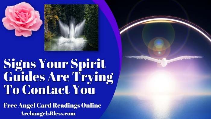 Signs Your Spirit Guides Are Trying To Contact You, Signs Your Spirit Guides Are Trying To Communicate With You, How Can You Tell If It's Actually A Spirit Guide, What Are Spirit Guides, Spirit Guides And Numbers, Spirit Guides Buddhism, Spirit Guides Butterfly, Spirit Guides Birthday, Spirit Guides Birds, Spirit Guides Bear, Spirit Guide Bee, Spirit Guide Blue Jay, Spirit Guides Deer, Spirit Guides Dog, Spirit Guides Duck, Spirit Guides Depression, Spirit Guide Dragon, Spirit Guide Dragonfly, Spirit Guides Falcon, Spirit Guide Frog, Spirit Guide Horse, Spirit Guide Hummingbird, Spirit Guide Hawk, Spirit Guide Eagle, Spirit Guide Grasshopper, What Is The Difference Between Spirit Guides And Dark Entities, How To Communicate With Your Spirit Guide