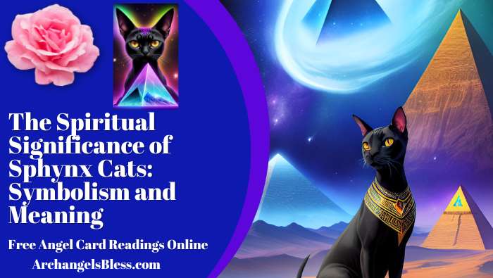 Sphynx cat spiritual meaning, sphynx cat animal totem, sphynx cat spirit animal, The spiritual significance of Sphynx cats, Sphynx cat symbolism and meaning, Sphynx cats as spiritual guides, the history and origins of Sphynx cats, the Goddess Bastet and Sphynx cats, Native American traditions and Sphynx cats, Sphynx cats as symbols of creativity and uniqueness, Sphynx cats as symbols of strength and resilience, Sphynx cats and intuition, and Sphynx cats and playfulness